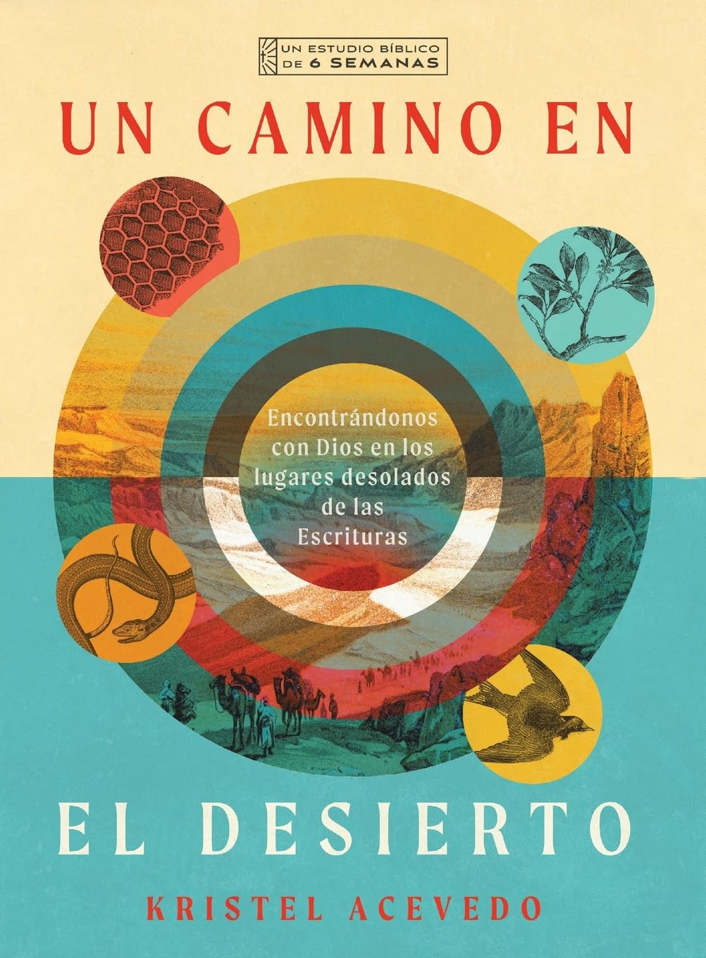 Un Camino En El Desierto: Encontrándonos Con Dios En Los Lugares Desolados de Las Escrituras--Un Estudio Bíblico de 6 Semanas Con Acceso a Video (IVP Bible Studies)
