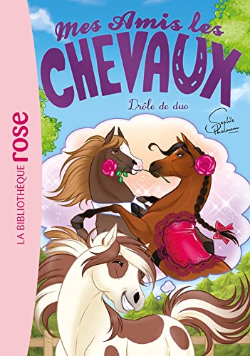 Lot 2 Livres Mes Amis les chevaux numéros 1 et 10 / 6-8 ans