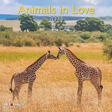 Animals in Love 2021 - Wand-Kalender - Broschüren-Kalender - A&I - 30x30 - 30x60 geöffnet