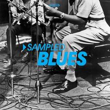 Sampled Blues [Vinyl LP]