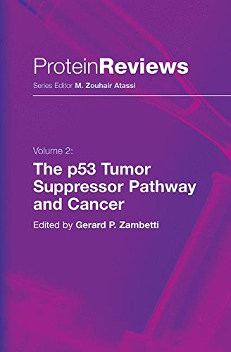 The p53 Tumor Suppressor Pathway and Cancer (Protein Reviews, Band 2)