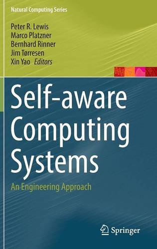 Self-aware Computing Systems: An Engineering Approach (Natural Computing Series)