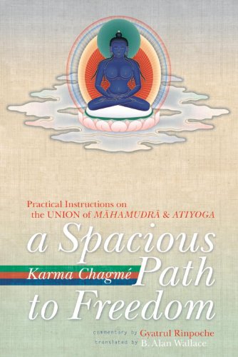 A Spacious Path To Freedom: Practical Instructions On The Union Of Mahamudra And Atiyoga