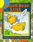 Small Bear Lost