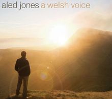 A Welsh Voice