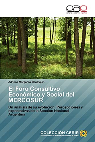 El Foro Consultivo Económico y Social del MERCOSUR: Un análisis de su evolución. Percepciones y expectativas de la Sección Nacional Argentina