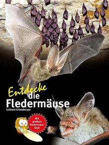 Entdecke die Fledermäuse (Entdecke - Die Reihe mit der Eule: Kindersachbuchreihe)