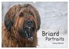 Briard Portraits (Wandkalender 2024 DIN A3 quer), CALVENDO Monatskalender