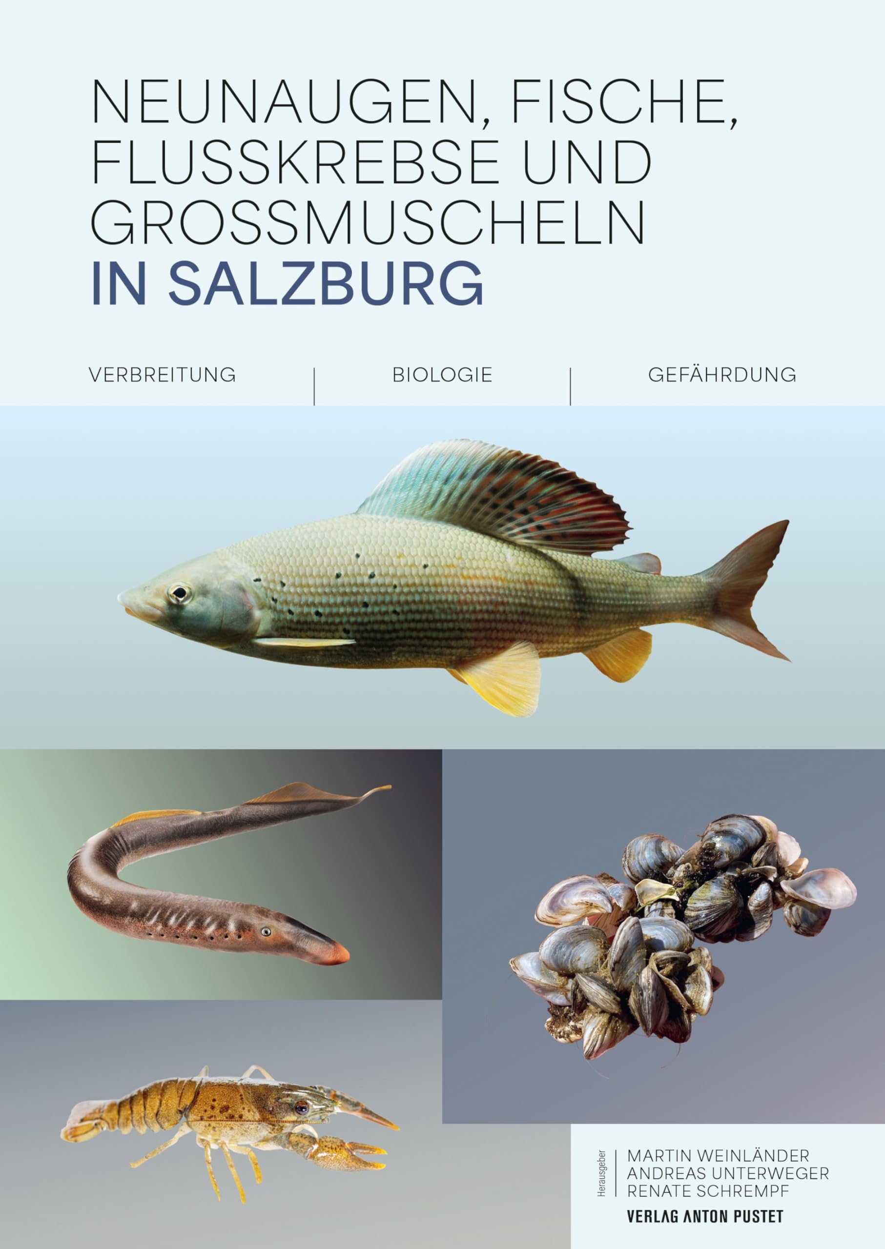 Neunaugen, Fische, Flusskrebse und Großmuscheln in Salzburg: Verbreitung – Biologie – Gefährdung. Das Nachschlagewerk für alle, die sich für Salzburgs ... Fangverboten, Mindestfangmaßen uvm.