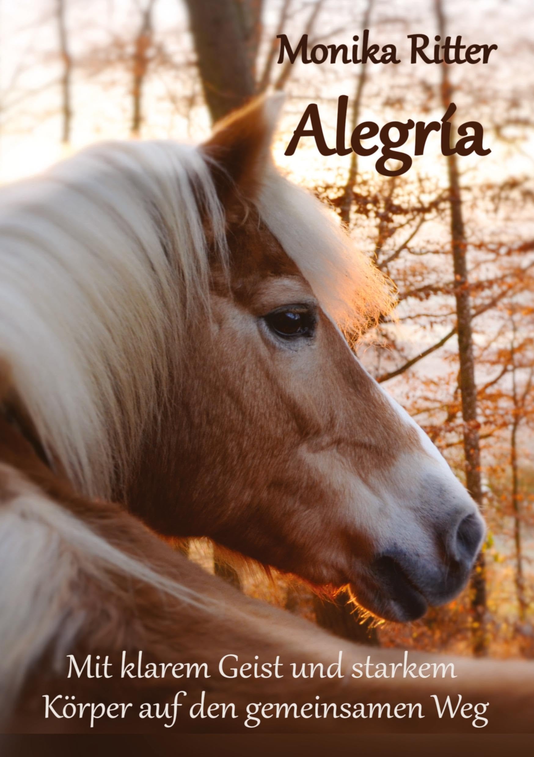 Alegría: Mit klarem Geist und starkem Körper auf den gemeinsamen Weg