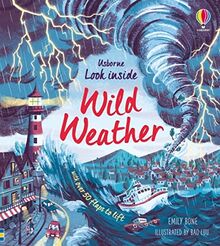 Look Inside Wild Weather: 1