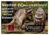 Spruchreif - Gute-Laune-Kalender (Wandkalender 2023 DIN A2 quer), Calvendo Monatskalender