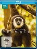 Die Welt der Primaten [Blu-ray]