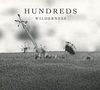Wilderness (Deluxe)