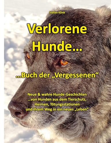 Verlorene Hunde: ...Buch der Vergessenen (Hund mit Streifen)