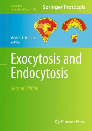 Exocytosis and Endocytosis (Methods in Molecular Biology)