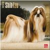 Shih Tzu 2014: Original BrownTrout-Kalender [Mehrsprachig] [Kalender]