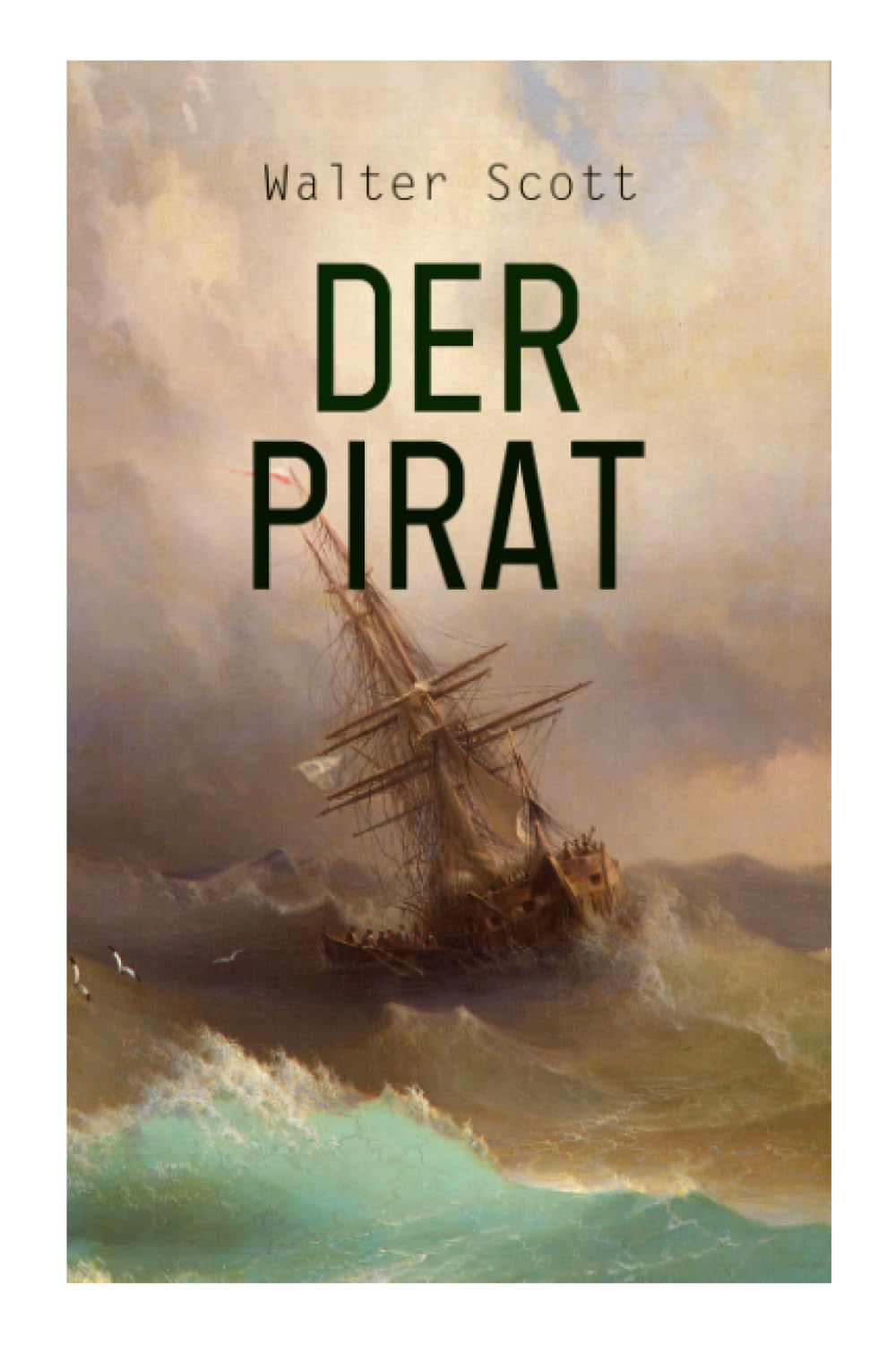 Der Pirat: Historischer Roman