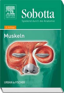 Sobotta, Spielend durch die Anatomie: Muskeln