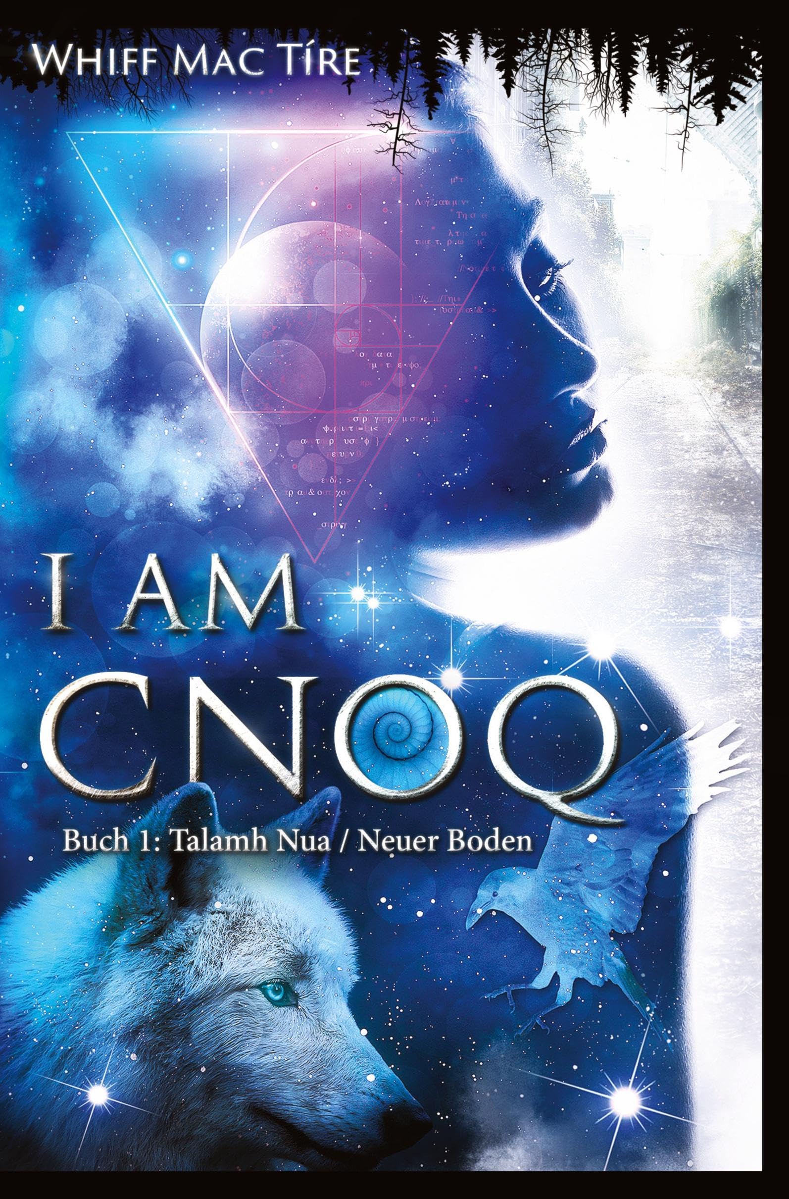 I am Cnoq - Eine ungewöhnliche Erzählung über die Suche nach Klarheit, Wahrheit, Wirklichkeit: Buch 1: Talamh Nua/Neuer Boden - Eine postapokalyptische Welt aus Intrigen und Machtansprüchen