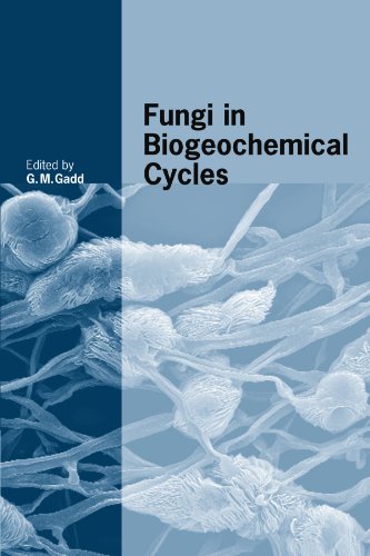 Fungi in Biogeochemical Cycles (British Mycological Society Symposia, Band 24)