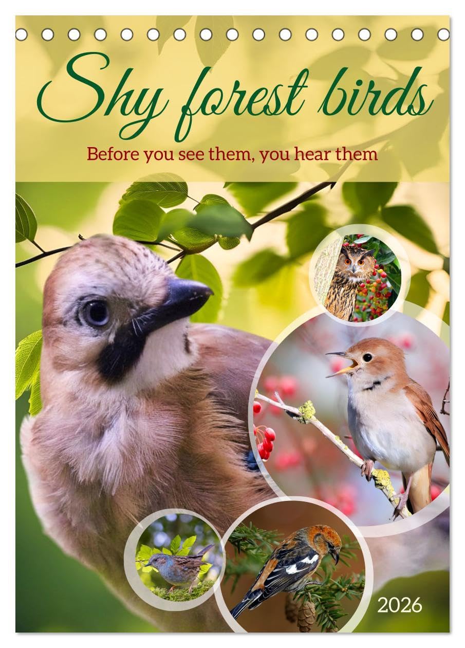 Shy forest birds (Desk Calendar 2026 DIN A5 portrait), CALVENDO 12 Month DeskCalendar: Before you see them, you hear them