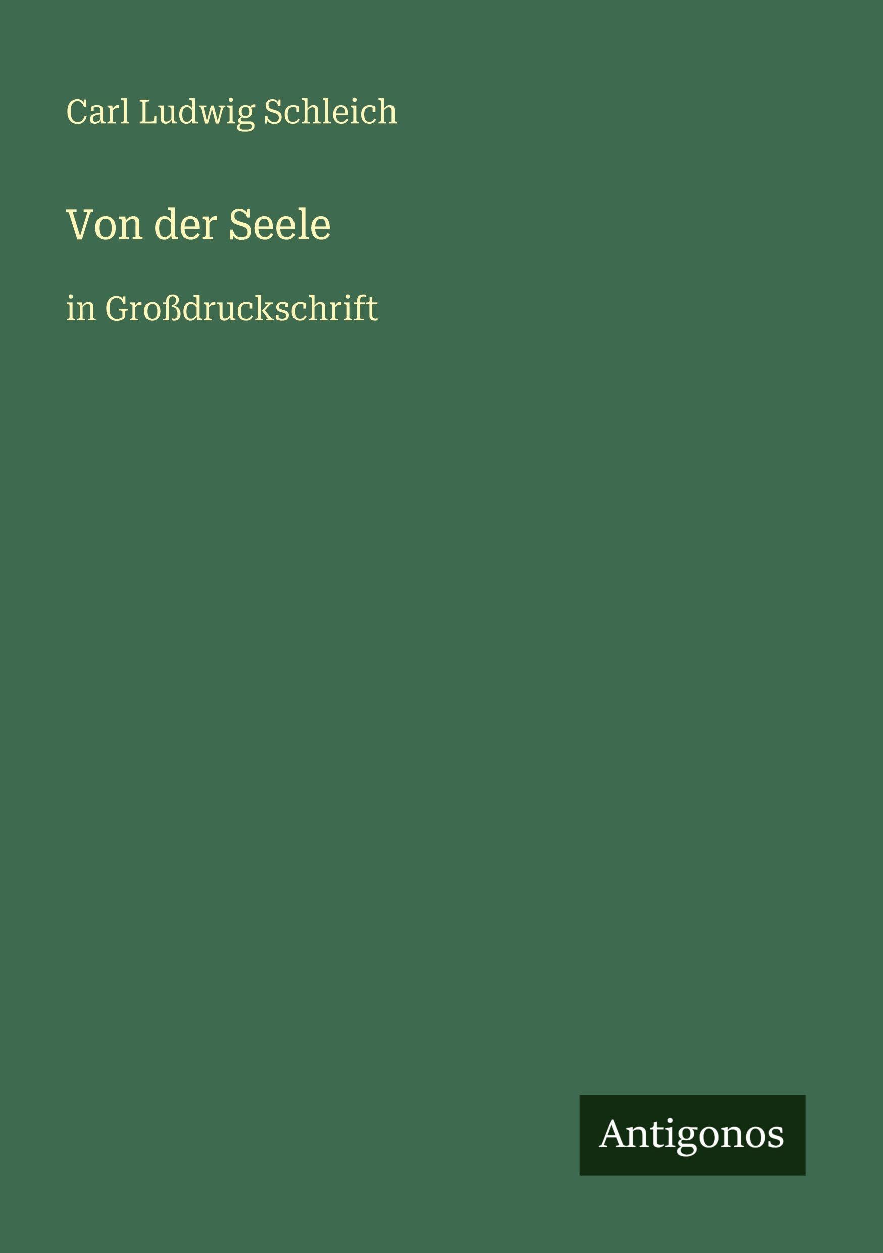 Von der Seele: in Großdruckschrift