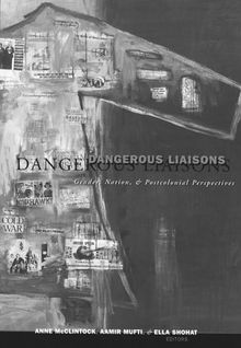 Dangerous Liaisons: Gender, Nation and Postcolonial Perspectives (Cultural Politics)