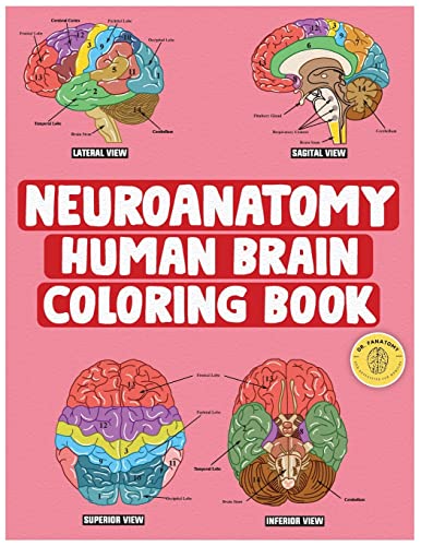 Fanatomy Neuroanatomy Human Brain Coloring Book, Neuroscience Coloring Book With MCQs ( Multiple Choice Questions) | A Gift For Medical School Students,