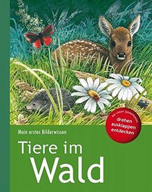 Mein erstes Bilderwissen: Tiere im Wald