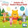 Disney Baby - Entdecke den Hundert-Morgen-Wald! - Pappbilderbuch mit 6 integrierten Sounds - Soundbuch für Kinder ab 18 Monaten