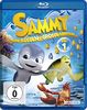 Sammy, kleine Flossen - Grosse Abenteuer - Volume 1 [Blu-ray]
