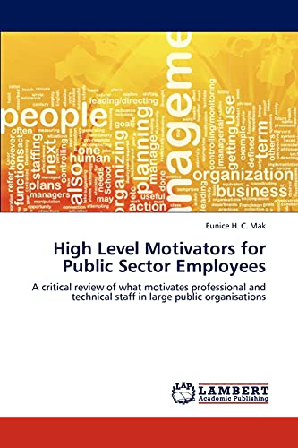 High Level Motivators for Public Sector Employees: A critical review of what motivates professional and technical staff in large public organisations