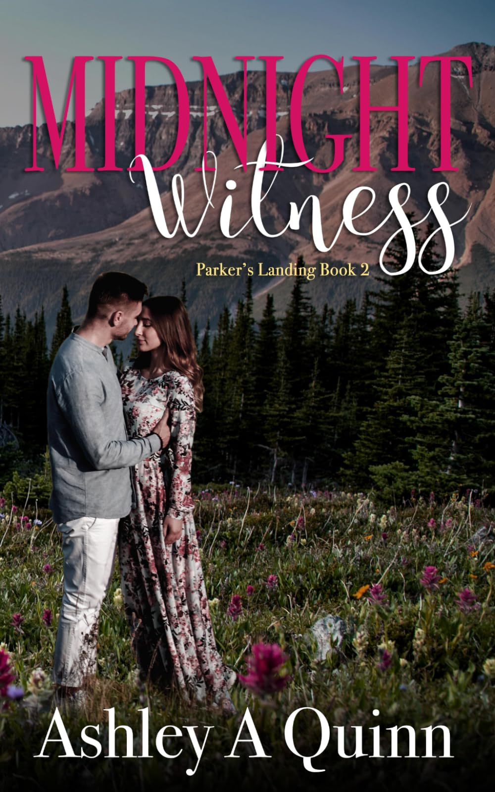 Midnight Witness (Parker's Landing, Band 2)