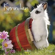 Kaninchen 2024: Broschürenkalender mit Ferienterminen. Format: 30 x 30 cm