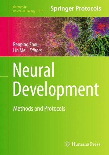 Neural Development: Methods and Protocols (Methods in Molecular Biology)