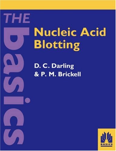 Nucleic Acid Blotting: The Basics
