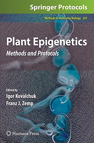 Plant Epigenetics: Methods and Protocols (Methods in Molecular Biology)