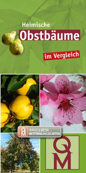 Heimische Obstbäume: schnell erkennen (Quelle & Meyer Bestimmungskarten)