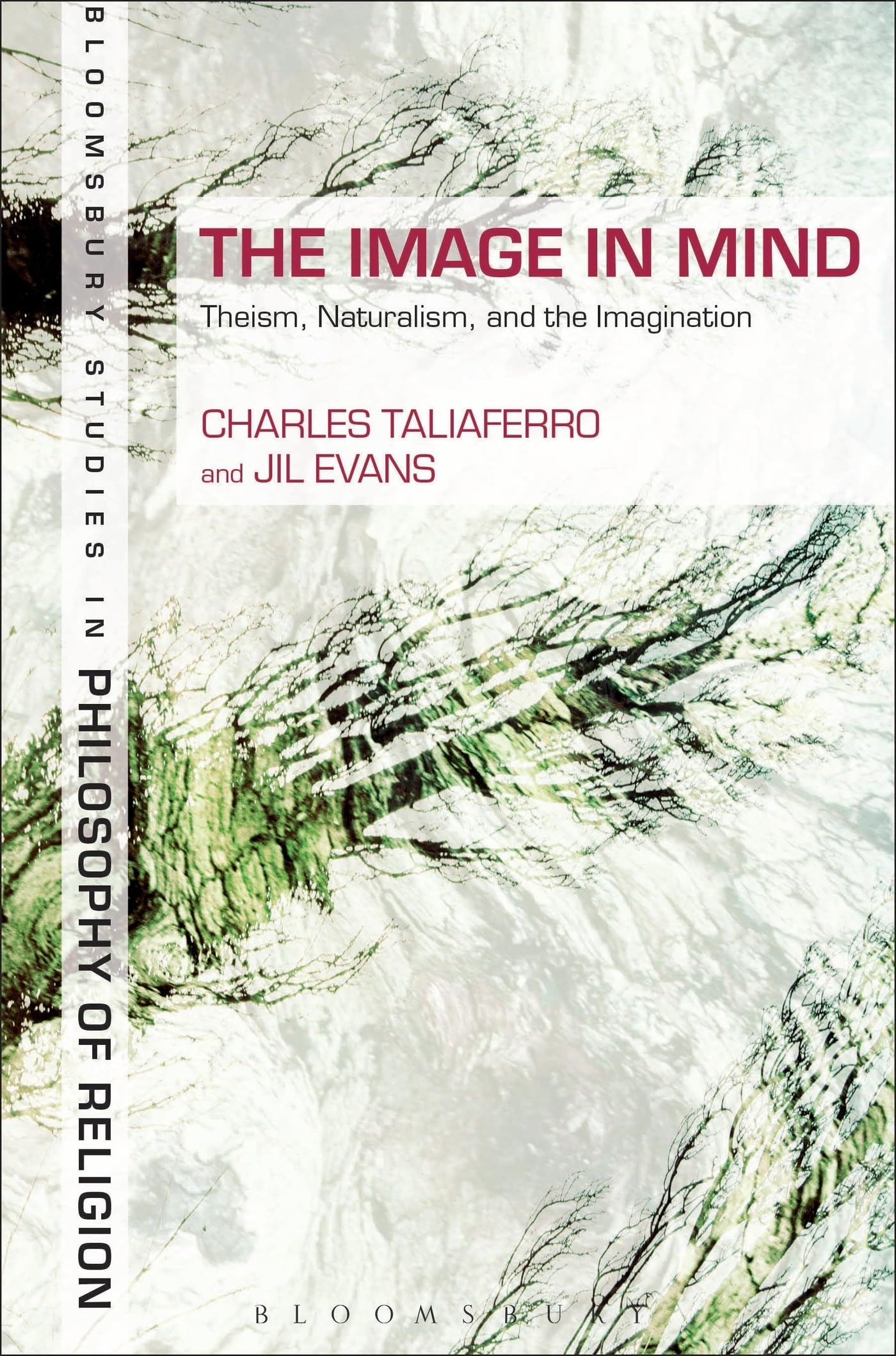 The Image in Mind: Theism, Naturalism, and the Imagination (Bloomsbury Studies in Philosophy of Religion)