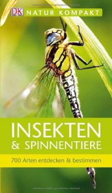 Natur kompakt: Insekten & Spinnentiere 700 Arten entdecken & bestimmen von Dorling Kindersley Verlag | Buch | Zustand sehr gut