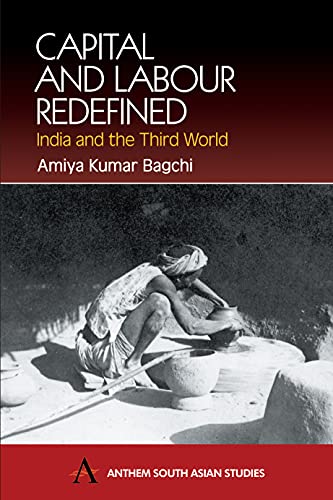 Capital and Labour Redefined: India and the Third World (Anthem Frontiers of Global Political Economy, 2, Band 2)