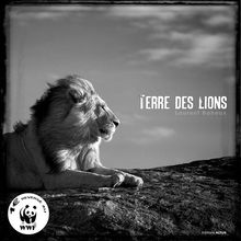 Terre de lions