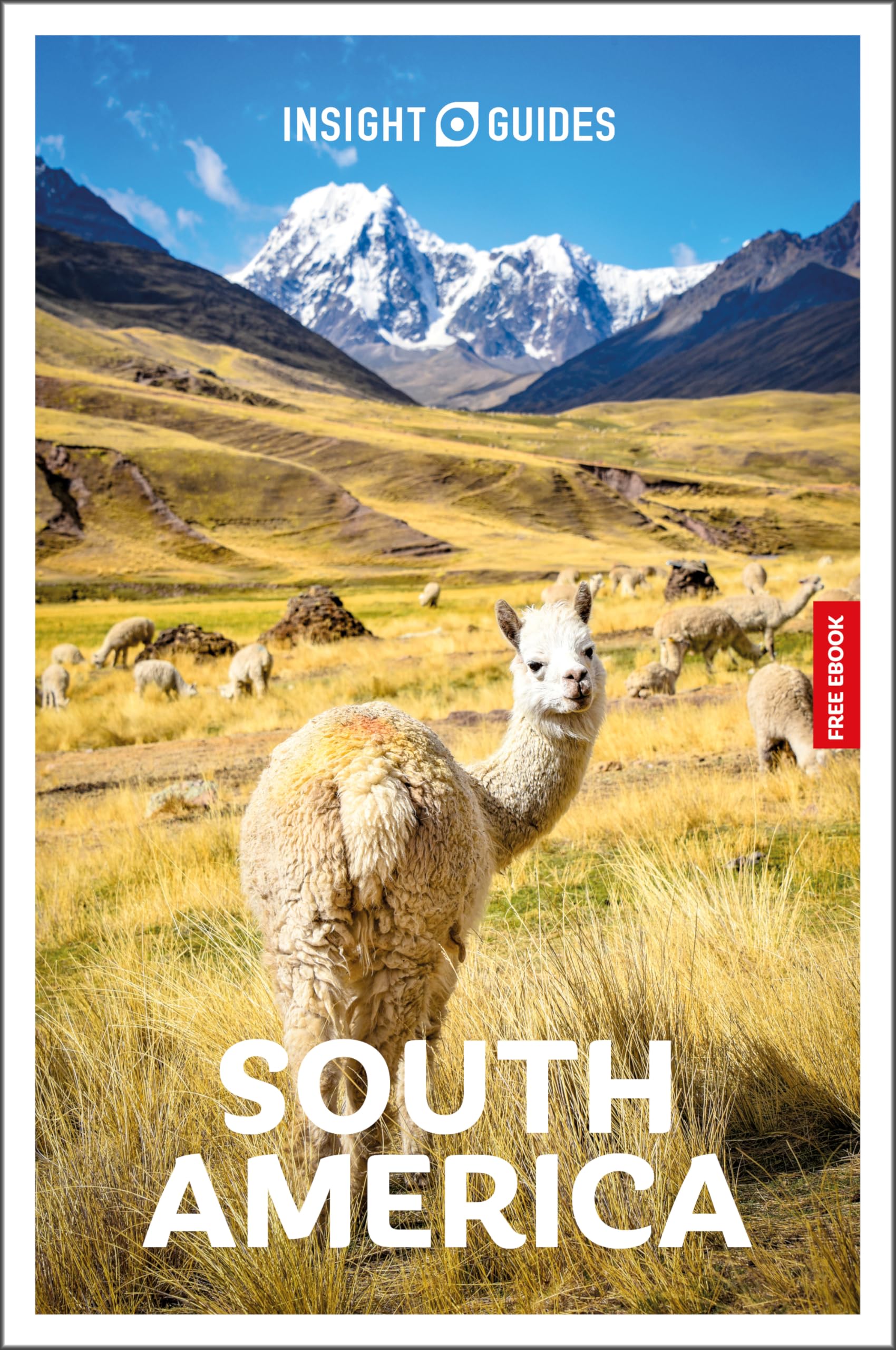 Robert Savage Insight Guides South America, Travel Guide With EBook