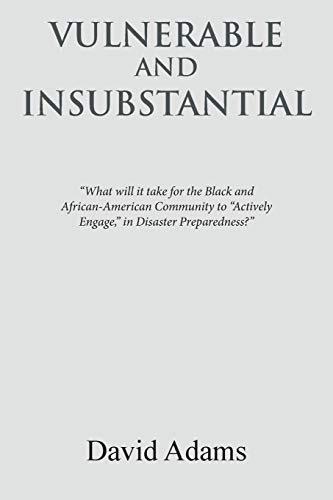 Vulnerable and Insubstantial: What Will It Take?