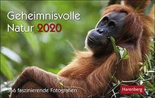 Geheimnisvolle Natur 2020 23x17cm