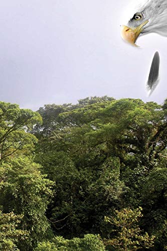 Cuauhtémoc: Descending Eagle