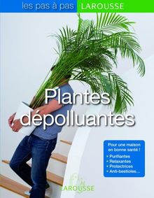 Plantes dépolluantes