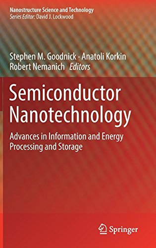 Semiconductor Nanotechnology: Advances in Information and Energy Processing and Storage (Nanostructure Science and Technology)