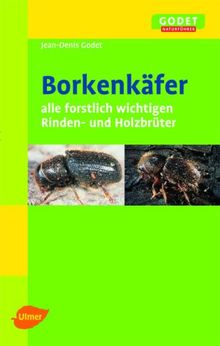 Borkenkäfer: Alle forstlich wichtigen Rinden- und Holzbrüter